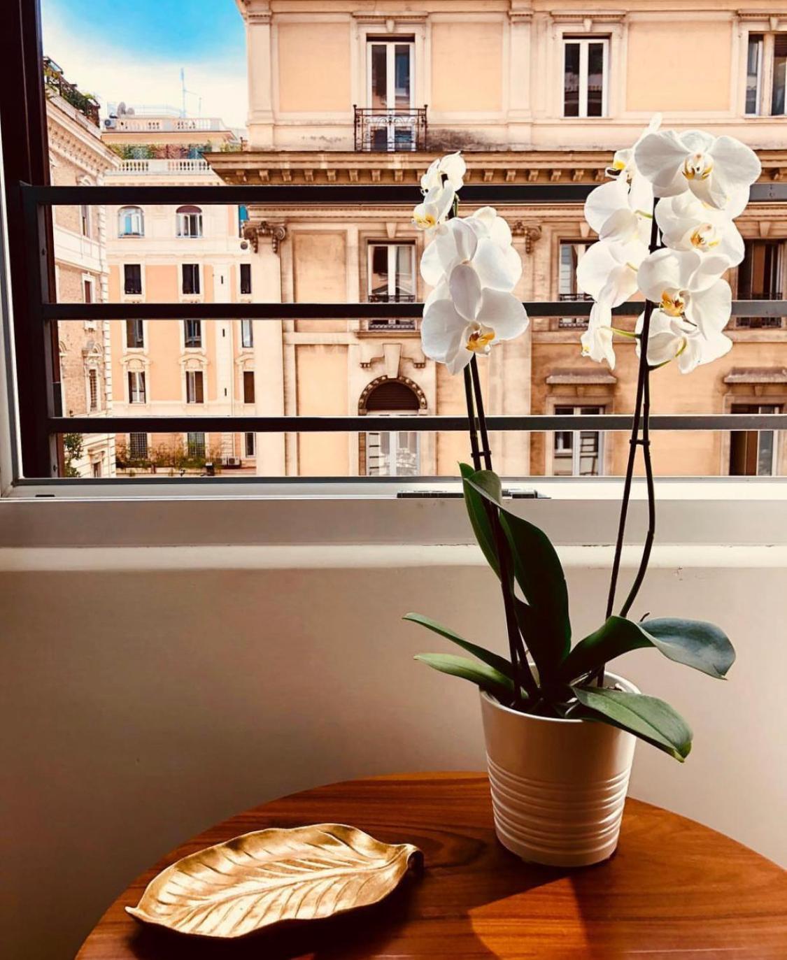 900 Piazza Del Popolo Alojamento de Acomodação e Pequeno-almoço